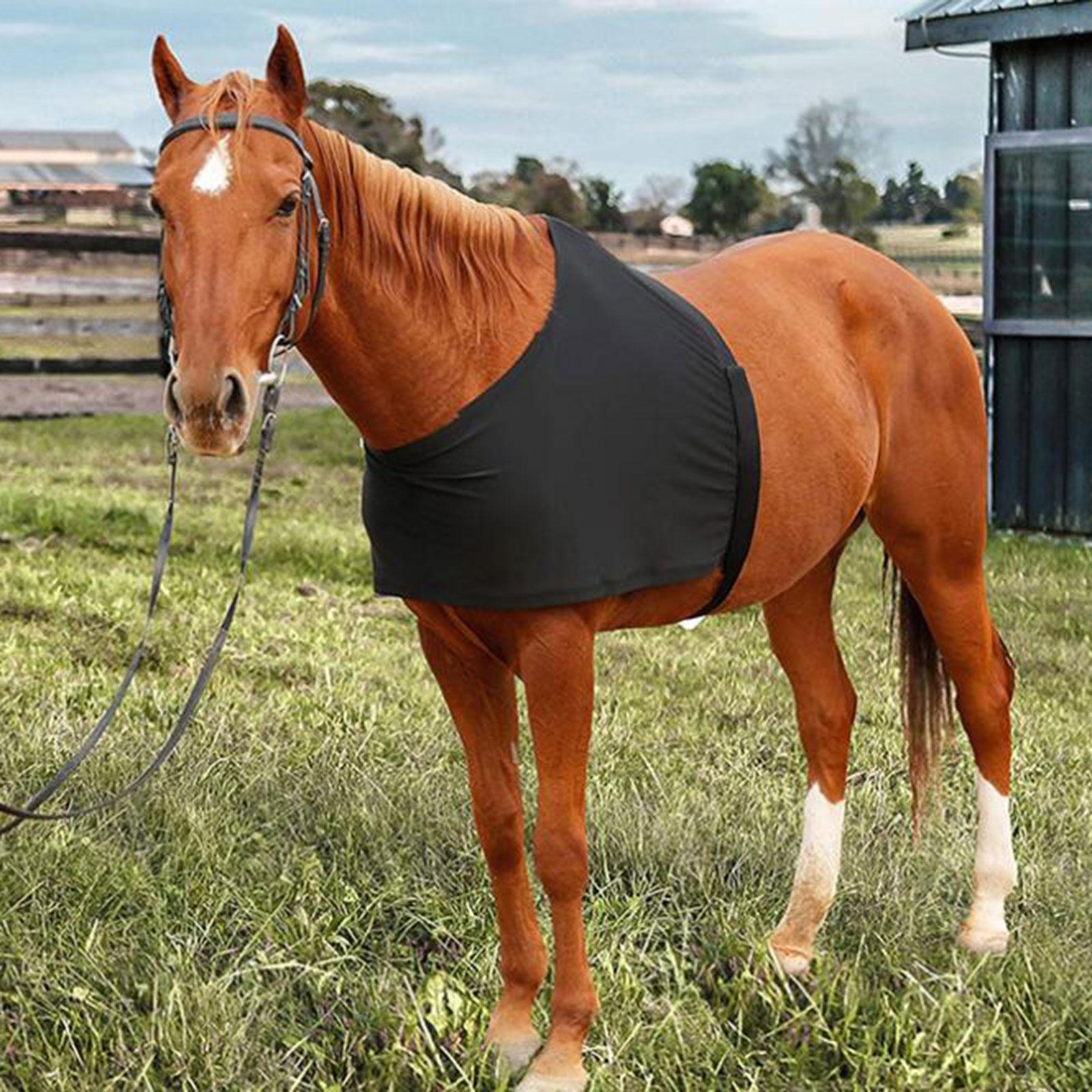 Horse Shoulder Guard Practical Fitting Easy to Install Reusable Anti Rub Bib
