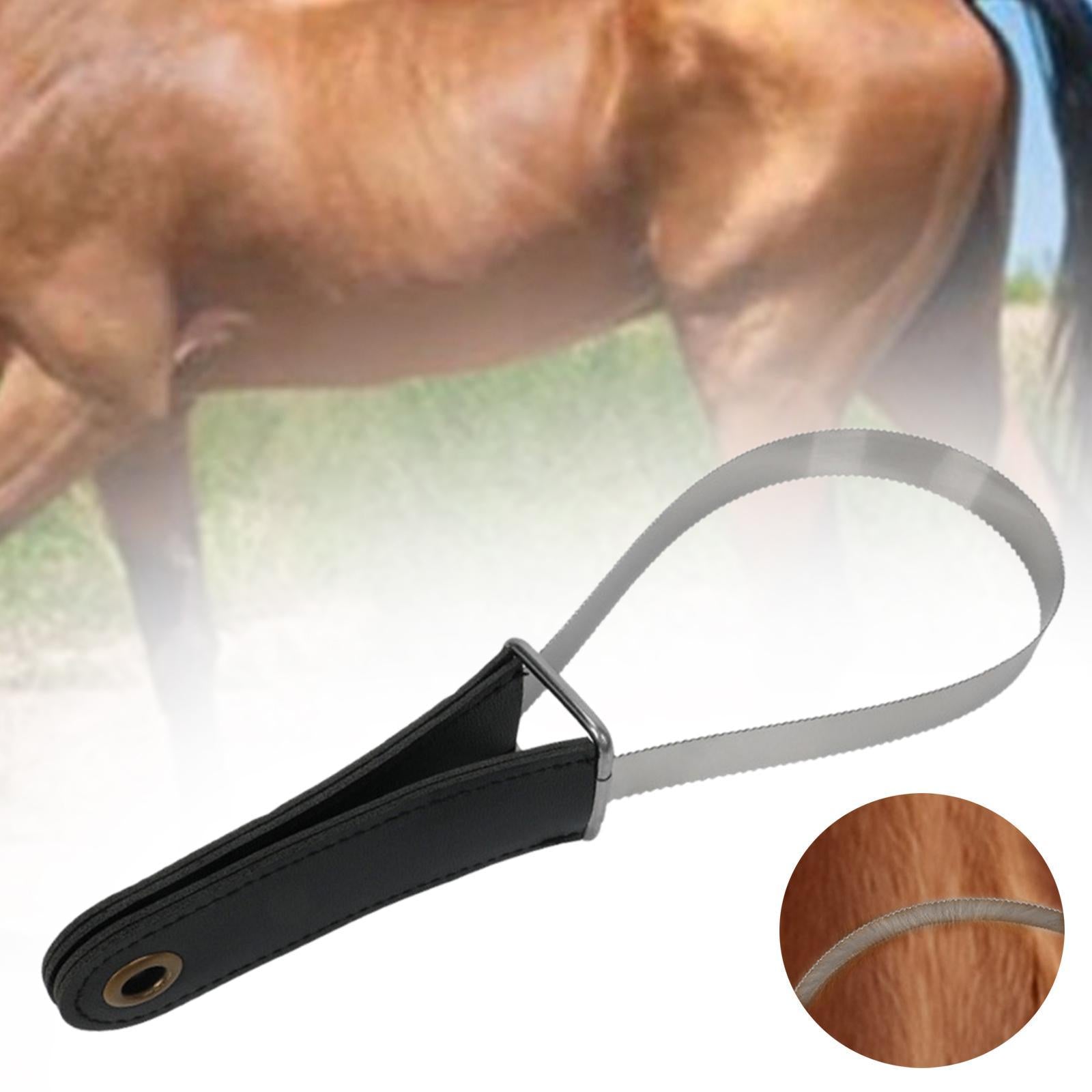 Horse Sweat Scraper Tool Shaving Shedding Blade for Donkeys Livestock Animal