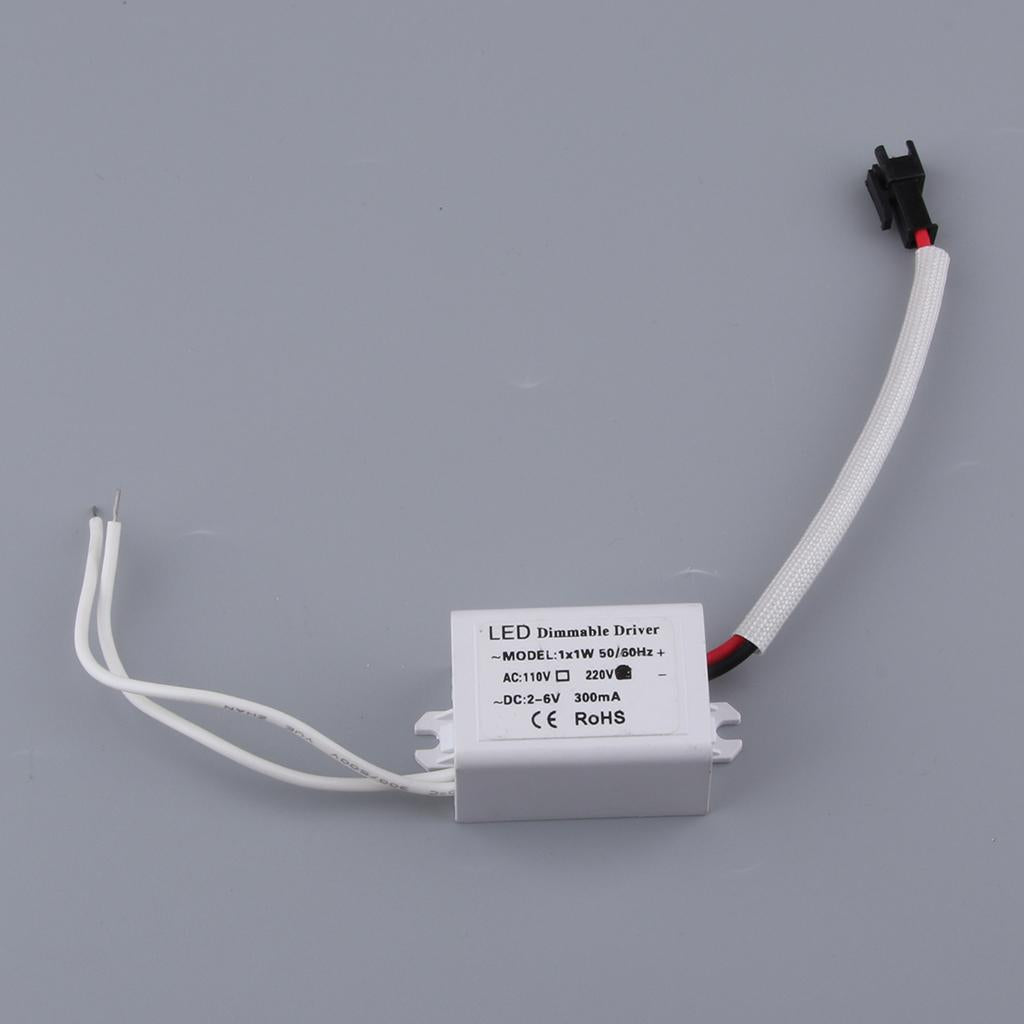 2xDimmable LED Power Supply DC 2-6V 300mA 1x1W for LED Downlights