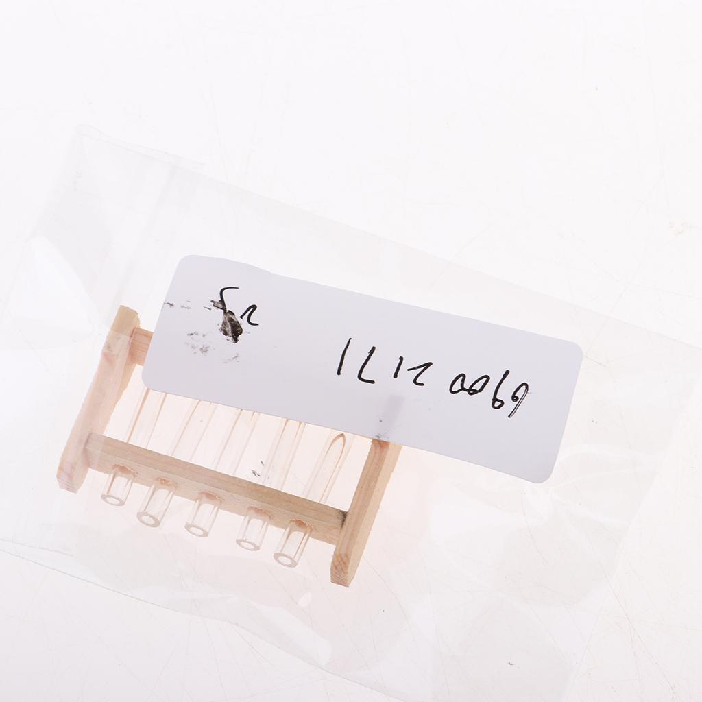 1/12 Dollhouse Miniature Test Tube Experiment Equipment Lab Accessory Decor