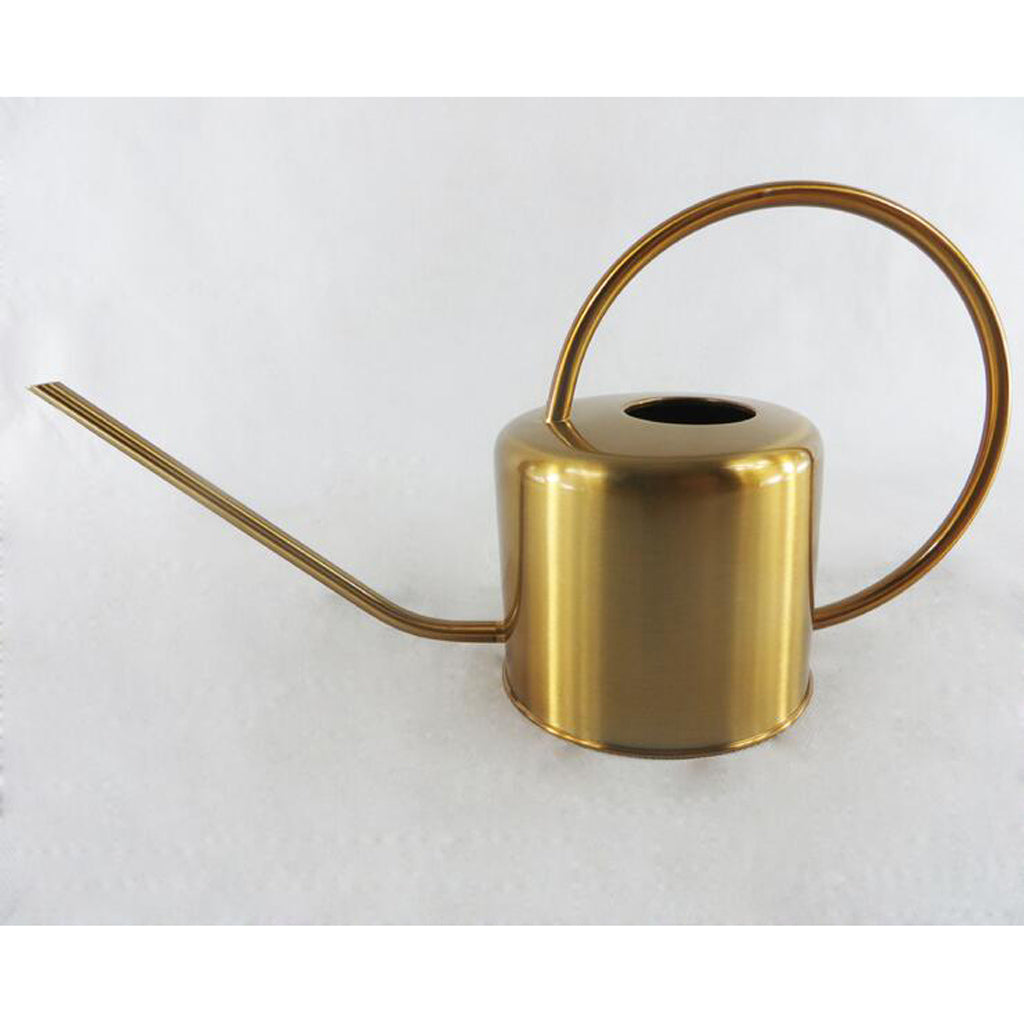 Pastoral Style Stainless Steel Flower Pot Mini Bonsai Watering Can Pot Gold