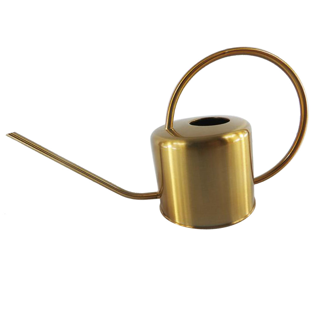 Pastoral Style Stainless Steel Flower Pot Mini Bonsai Watering Can Pot Gold