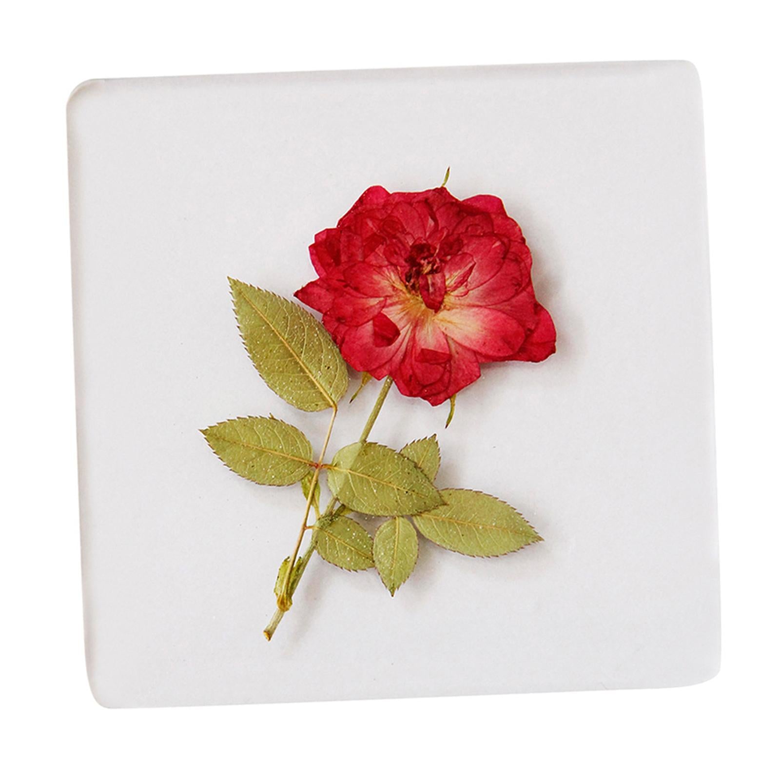Clear Coasters for Drinks Printed Flower 3.5inch for Bar Farmhouse Holiday