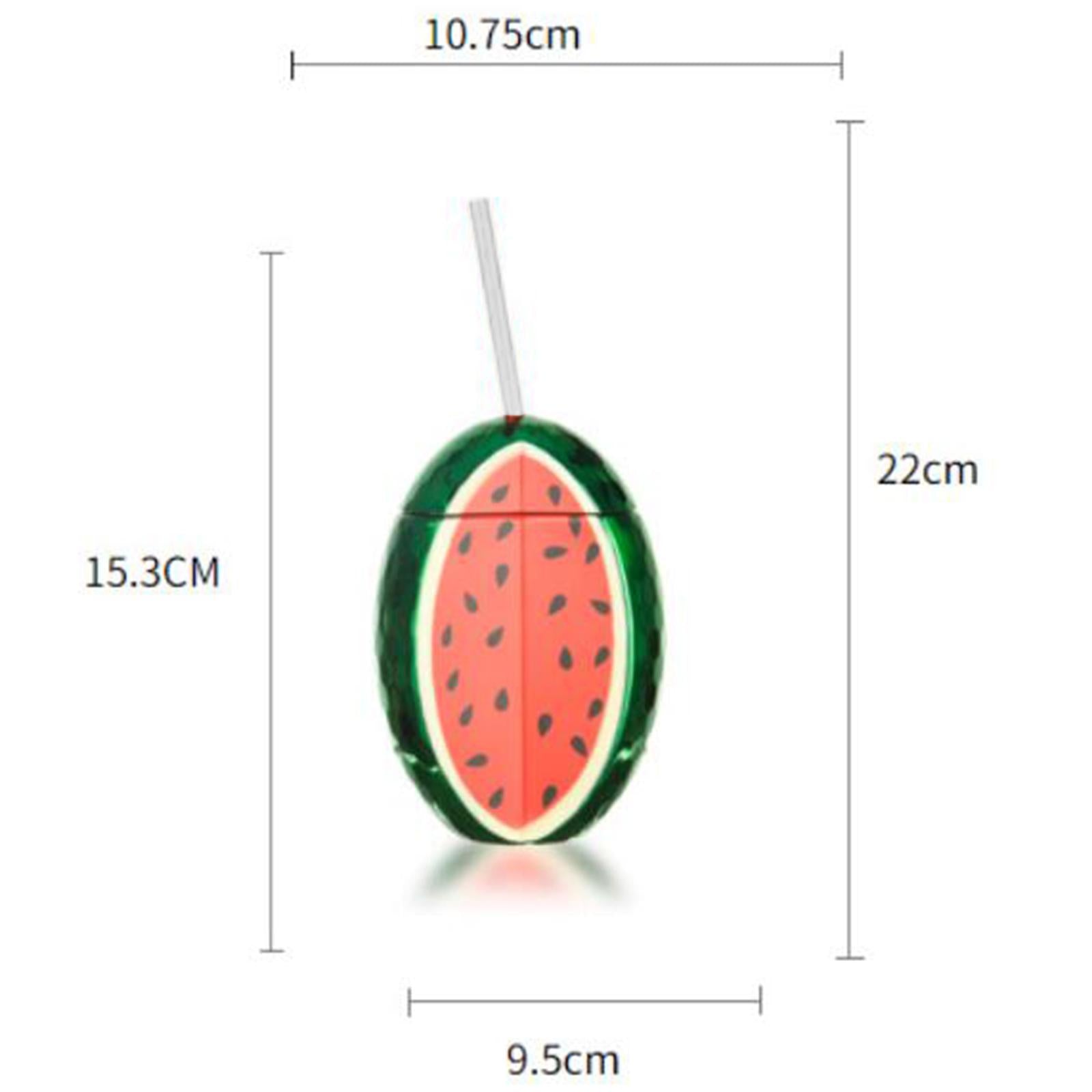 2Pcs Party Drink Cup Fun Novelty Water Bottle for Celebration Camping Picnic Watermelon 