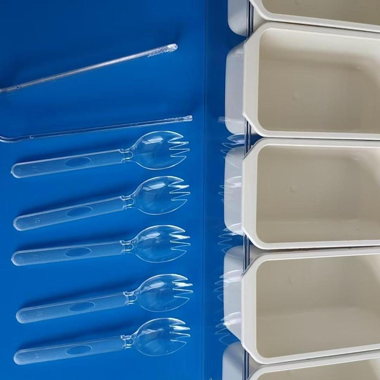 Divided Serving Tray Portable Travel for Desserts Veggies Treats 1 Box 2 Clip 5 Spoon