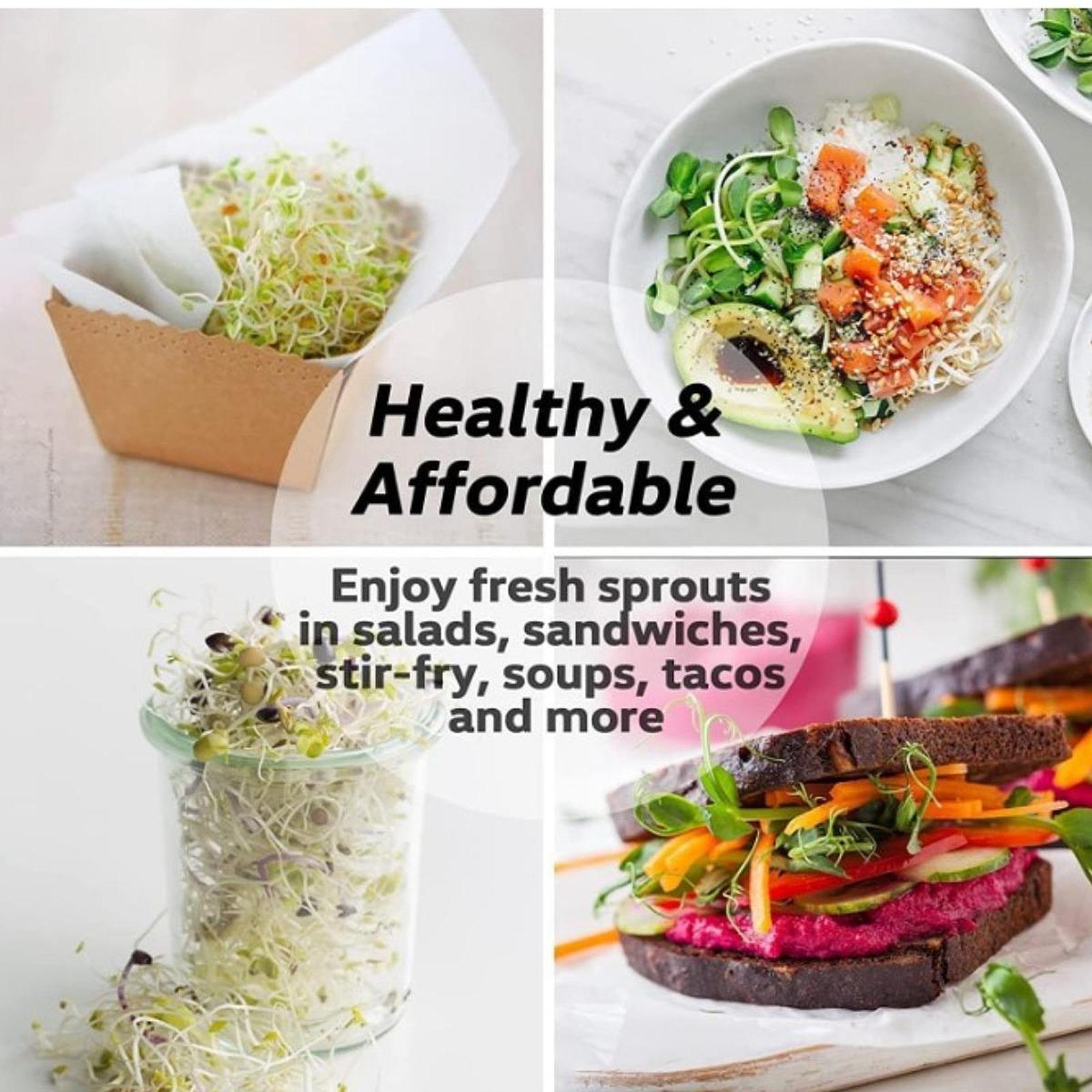 Sprouting Jar Kit with 2 Blackout Sleeves Sturdy Household Seed Sprouter Set