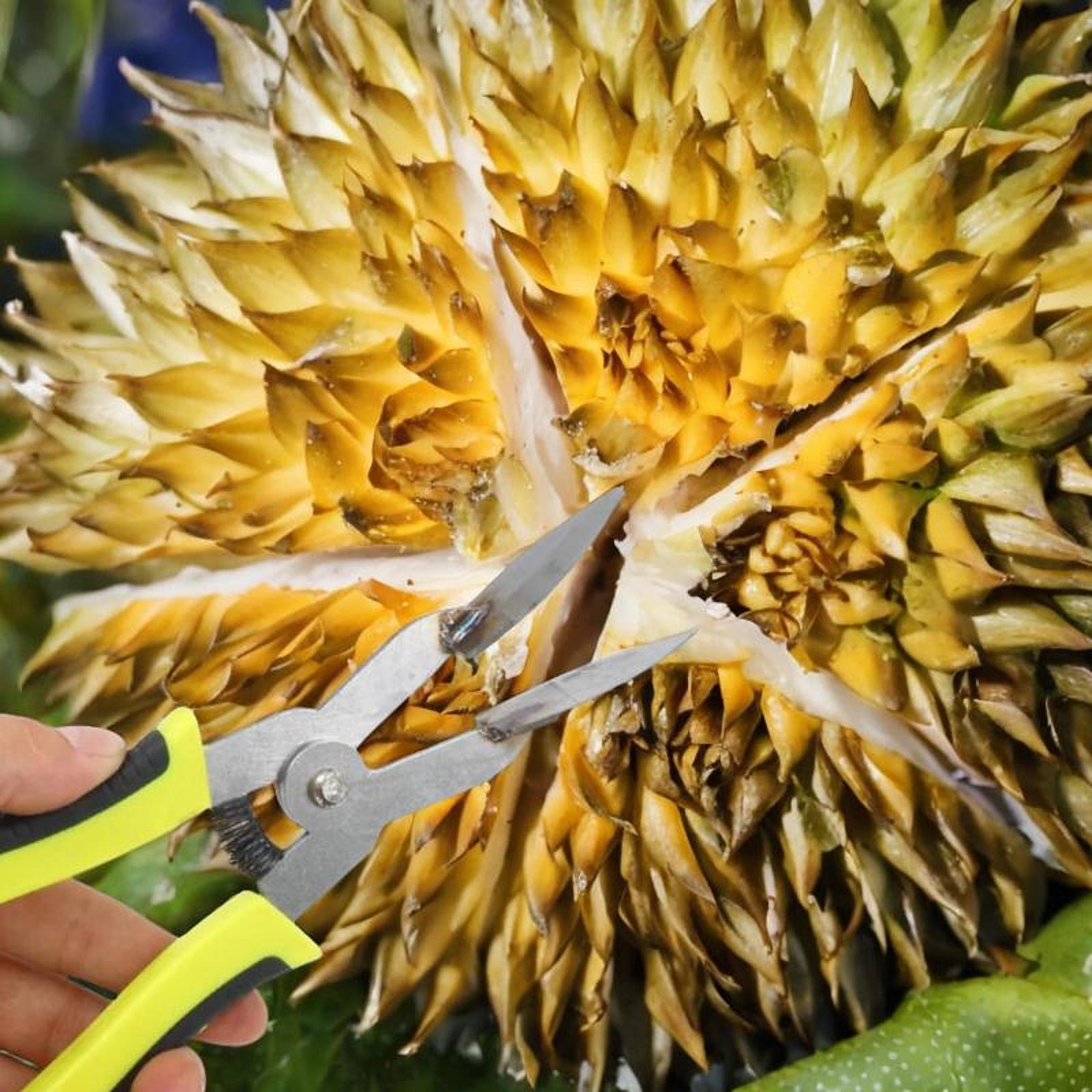 Durian Opener Steel Easy to Use Pliers Manual Fruit Durian Shell Opener Clip