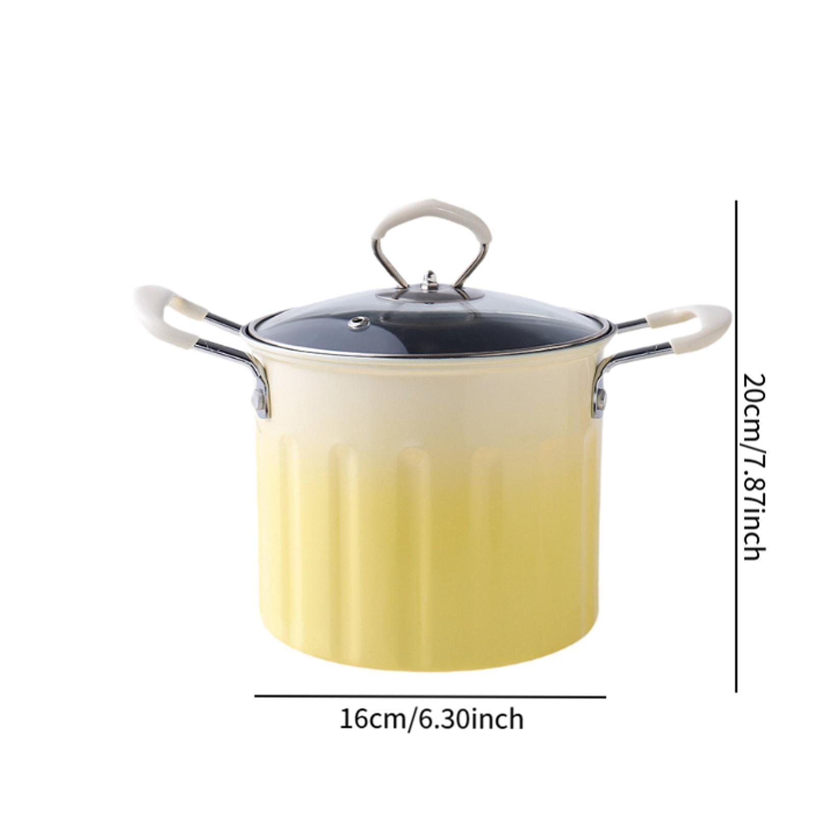 Deep Fryer Pot with Frying Basket Oil Strainer Basket for Chips Boiling Home