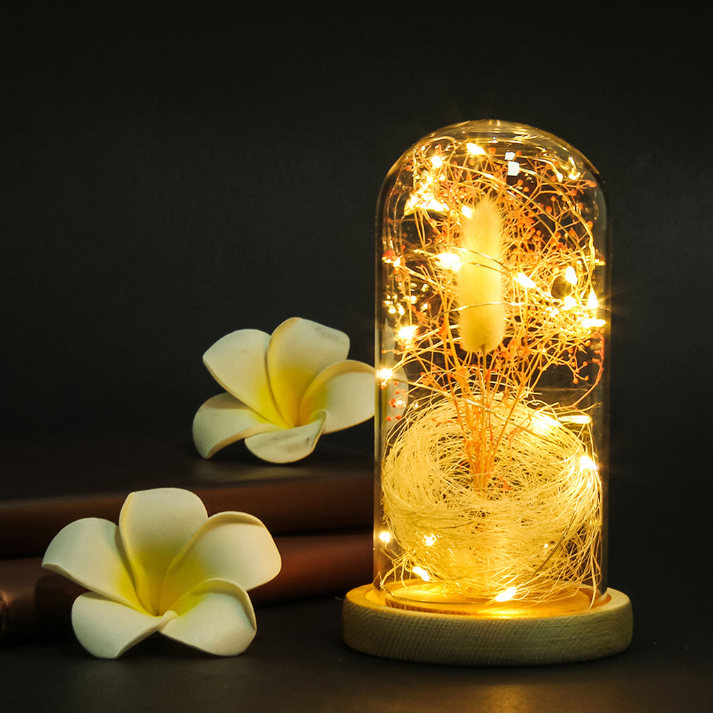 Dried Flower Glass Dome Lamp LED Night Light String Table Lamp Colourful