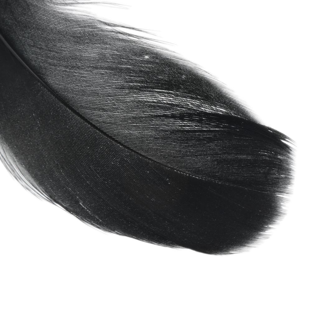 200Pcs Feathers for DIY Craft Wedding Home Party Decorations Black