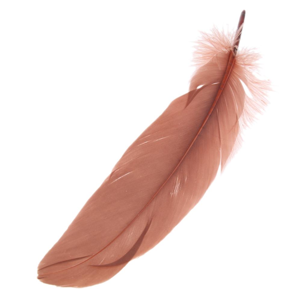 50 Pieces Goose Feathers DIY Craft Wedding Home Party Decorations Coffee