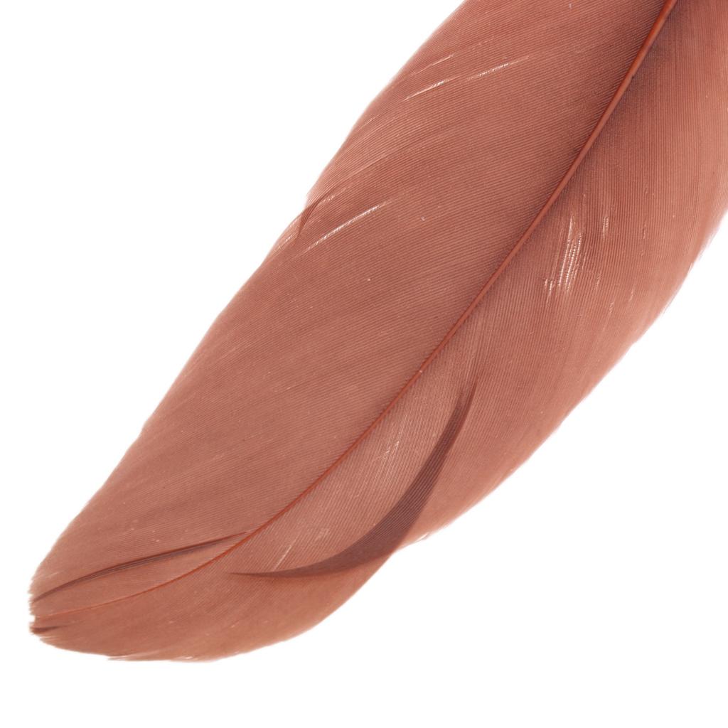 50 Pieces Goose Feathers DIY Craft Wedding Home Party Decorations Coffee
