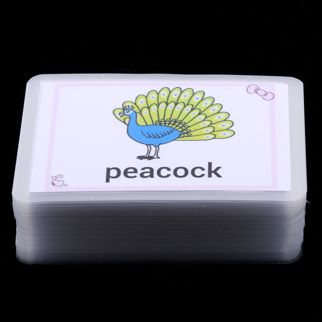 Kids Early Educational Flash Cards 80x Animal