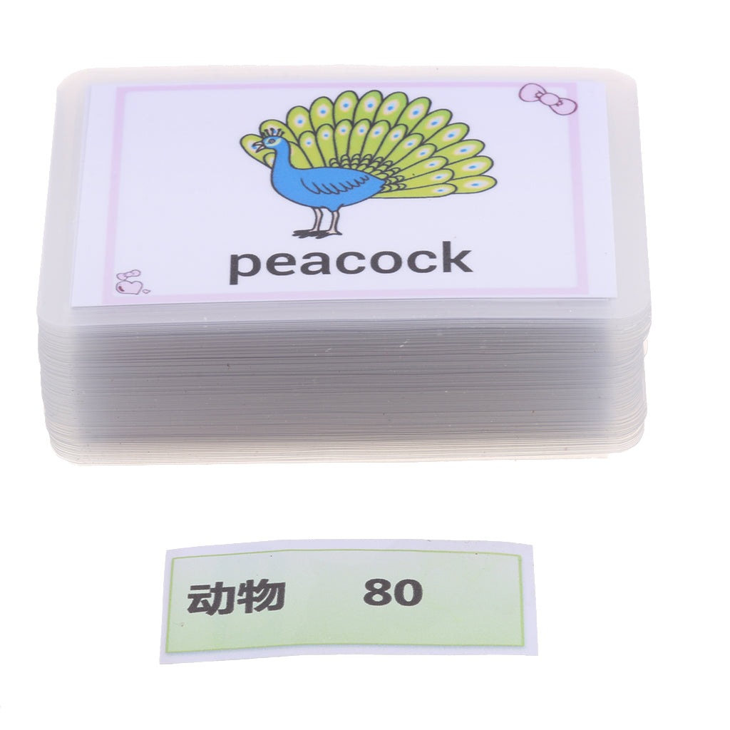 Kids Early Educational Flash Cards 80x Animal