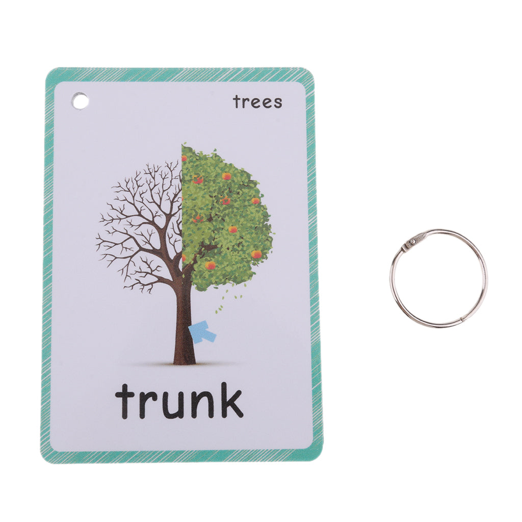 Preschool Educational Flash Cards Trees - 23 Pieces