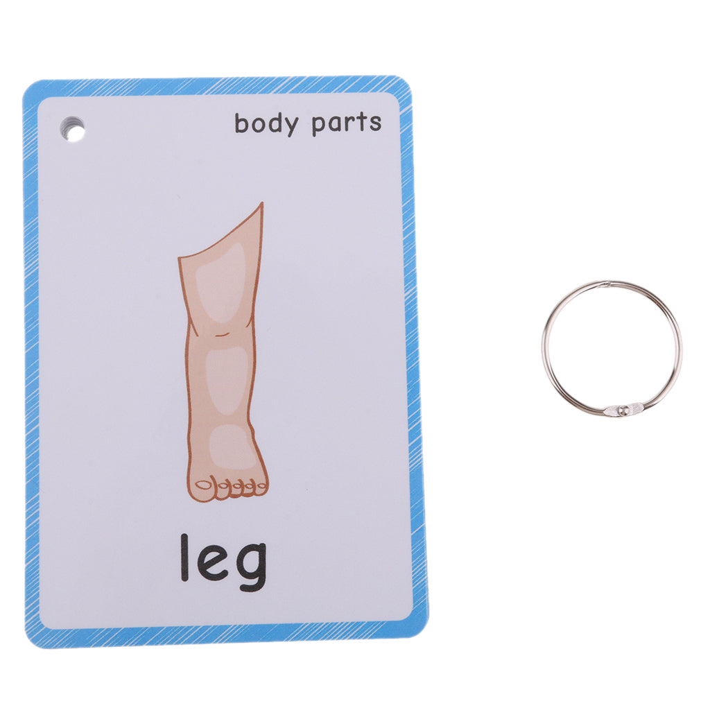 Preschool Educational Flash Cards Body Parts - 36 Pieces
