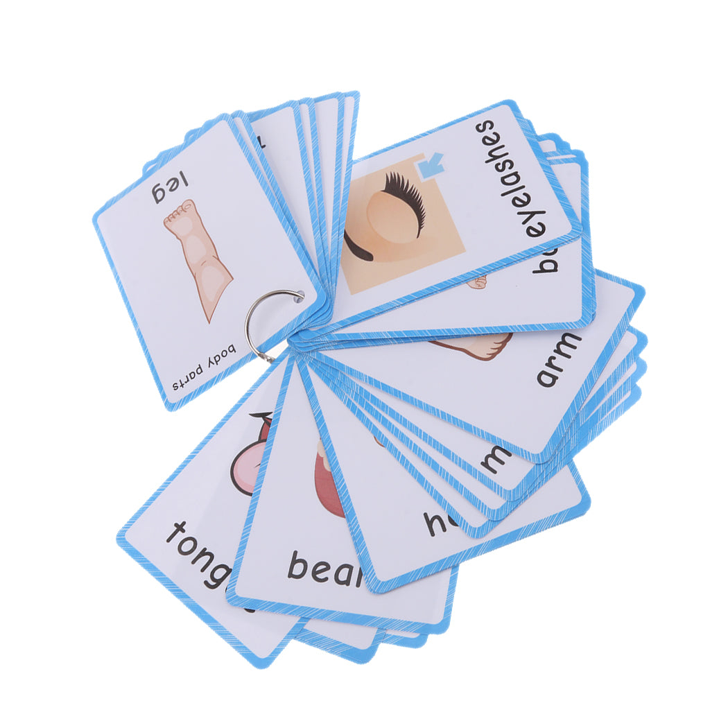 Preschool Educational Flash Cards Body Parts - 36 Pieces