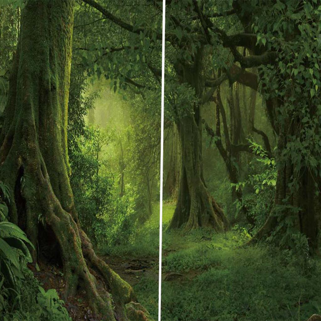 Charming Scenery Printed Window Curtains Drapes Silent Forest
