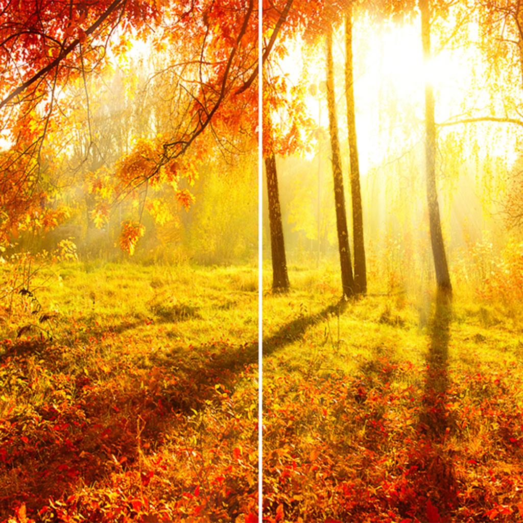 Set 2 Panels Digital Photo Printing Blackout 3D Curtains Sunset Maple leaves