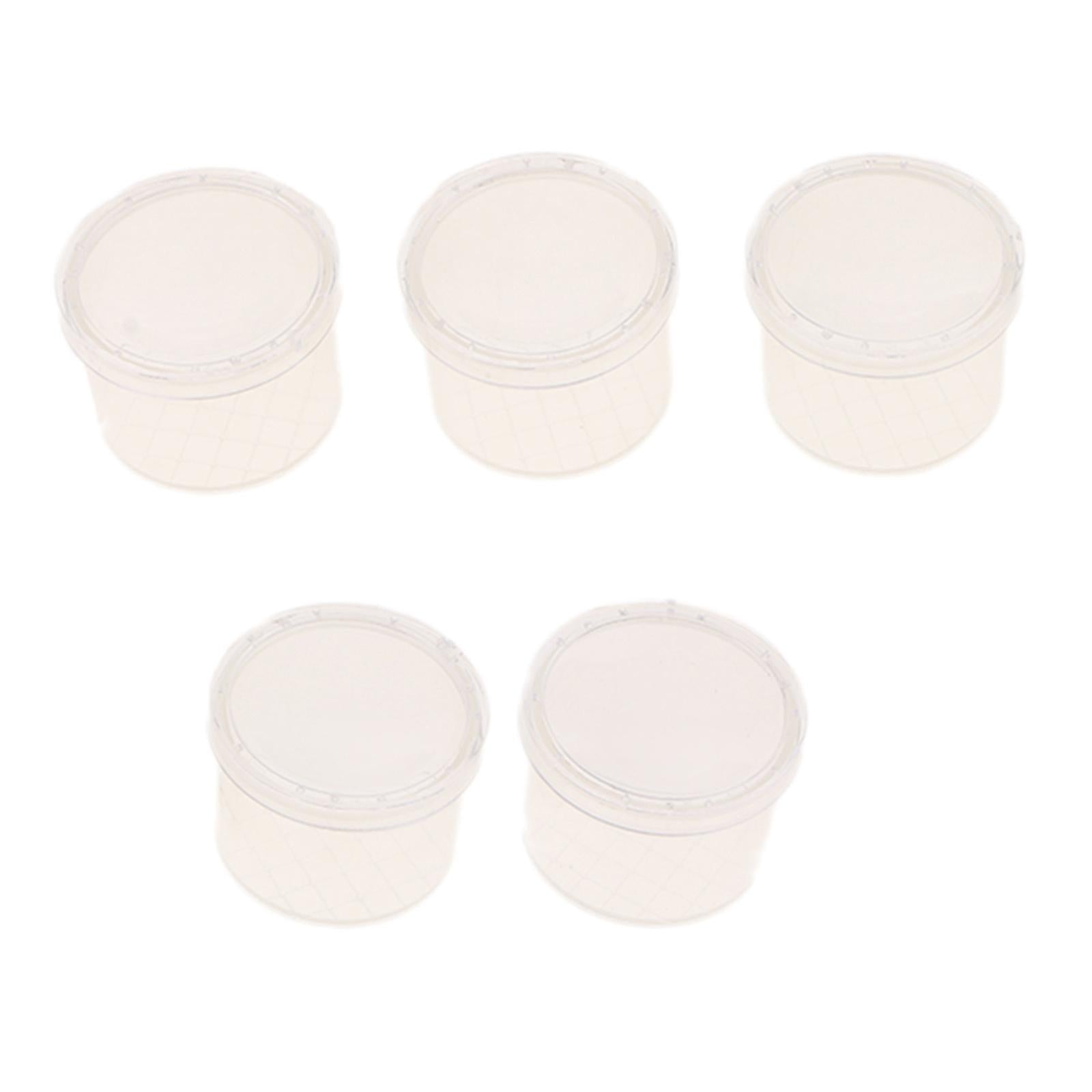 5 Pieces Plastic Cups Insect Cage Box with Magnifying Top