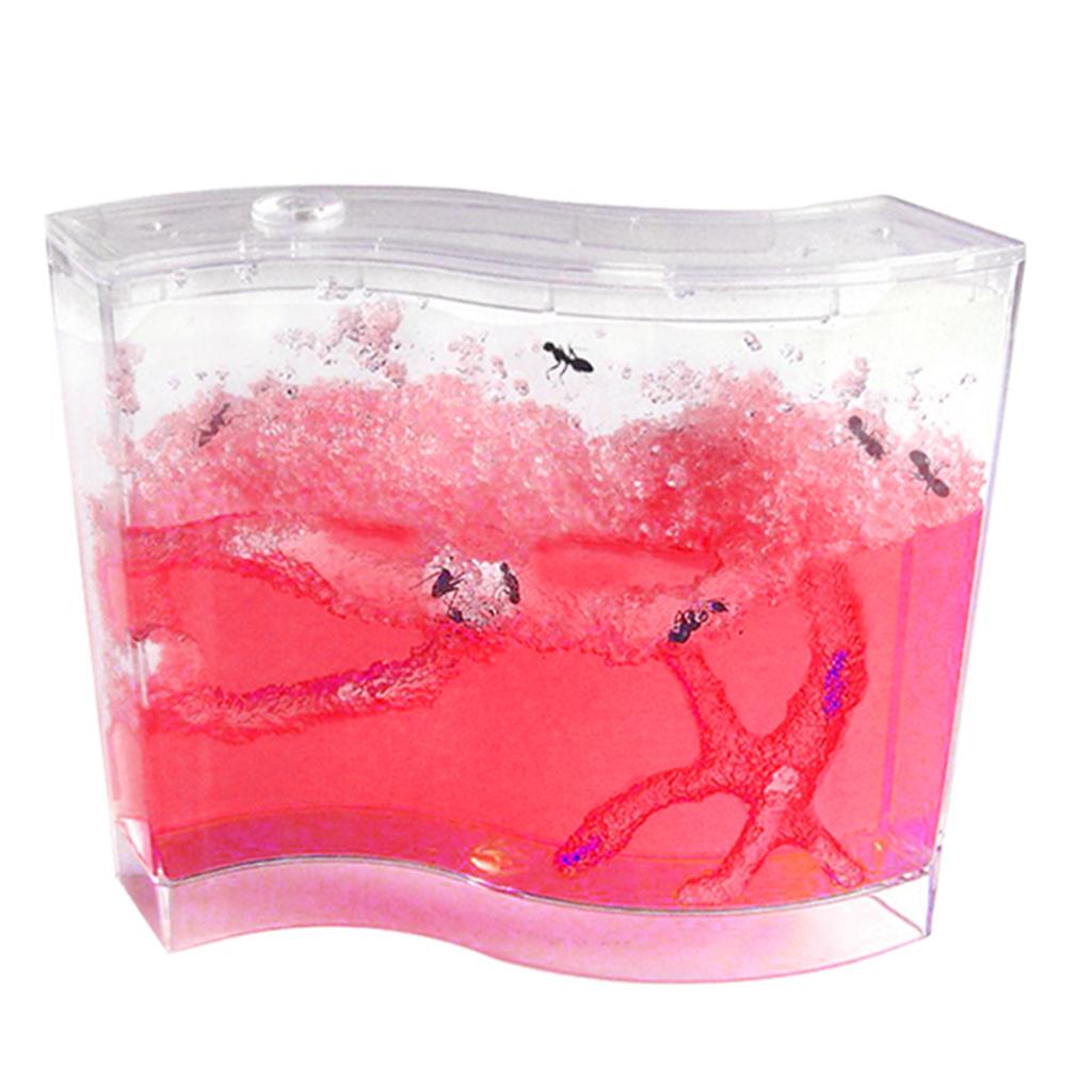 Ant Farm Home Social Structure Kids Experiment Toys Pink