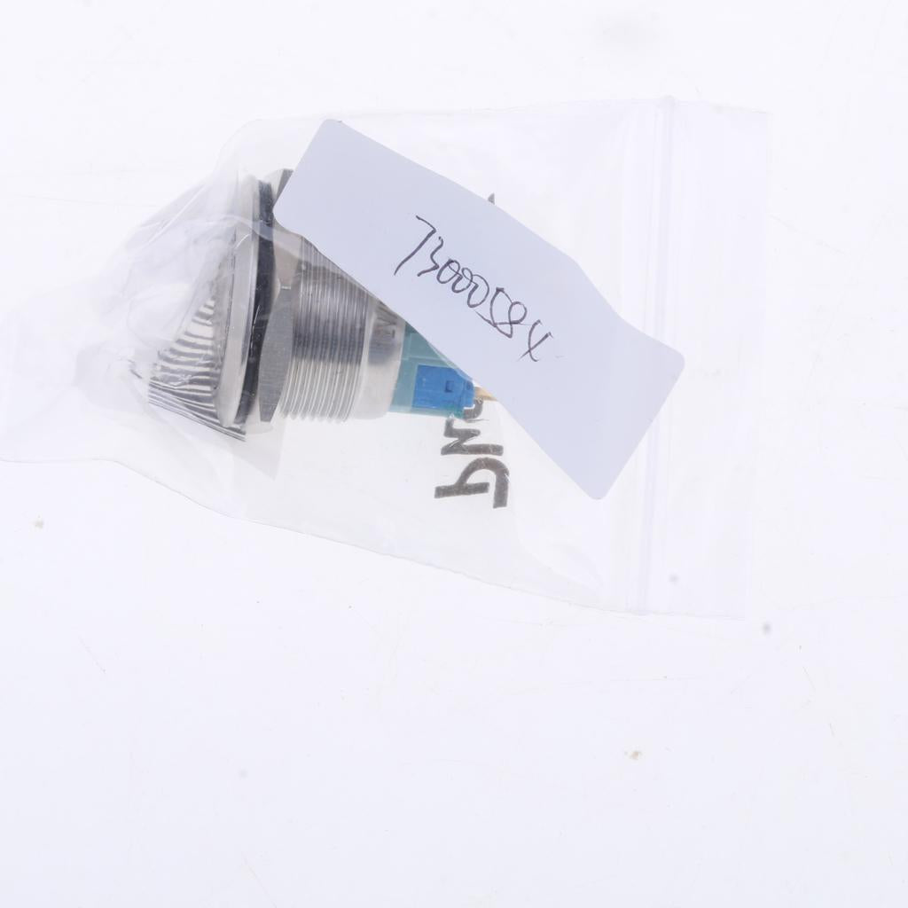 25mm 1NO1NC Stainless Steel 12V LED Momentary Push Button Switch 25mm Green