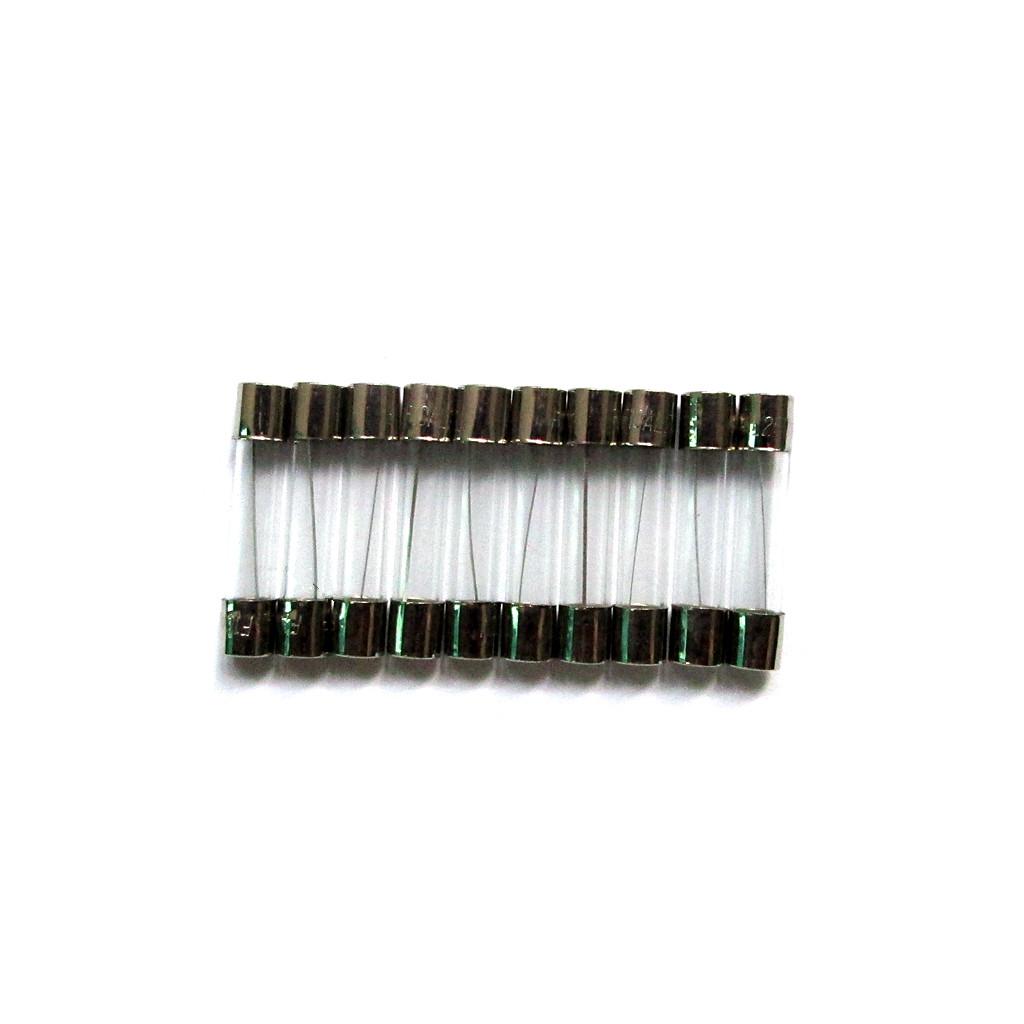 10 Pieces 6mm x 30mm Fast Blow Glass Tube Fuses 20A 250V