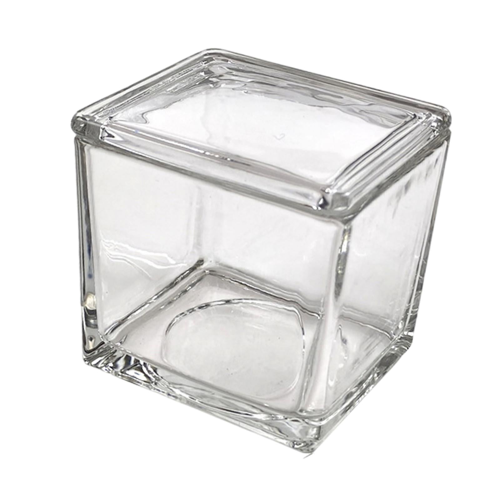 Rectangle Laboratory Glass Staining Jar Professional Accessory Slides Holder 550ml