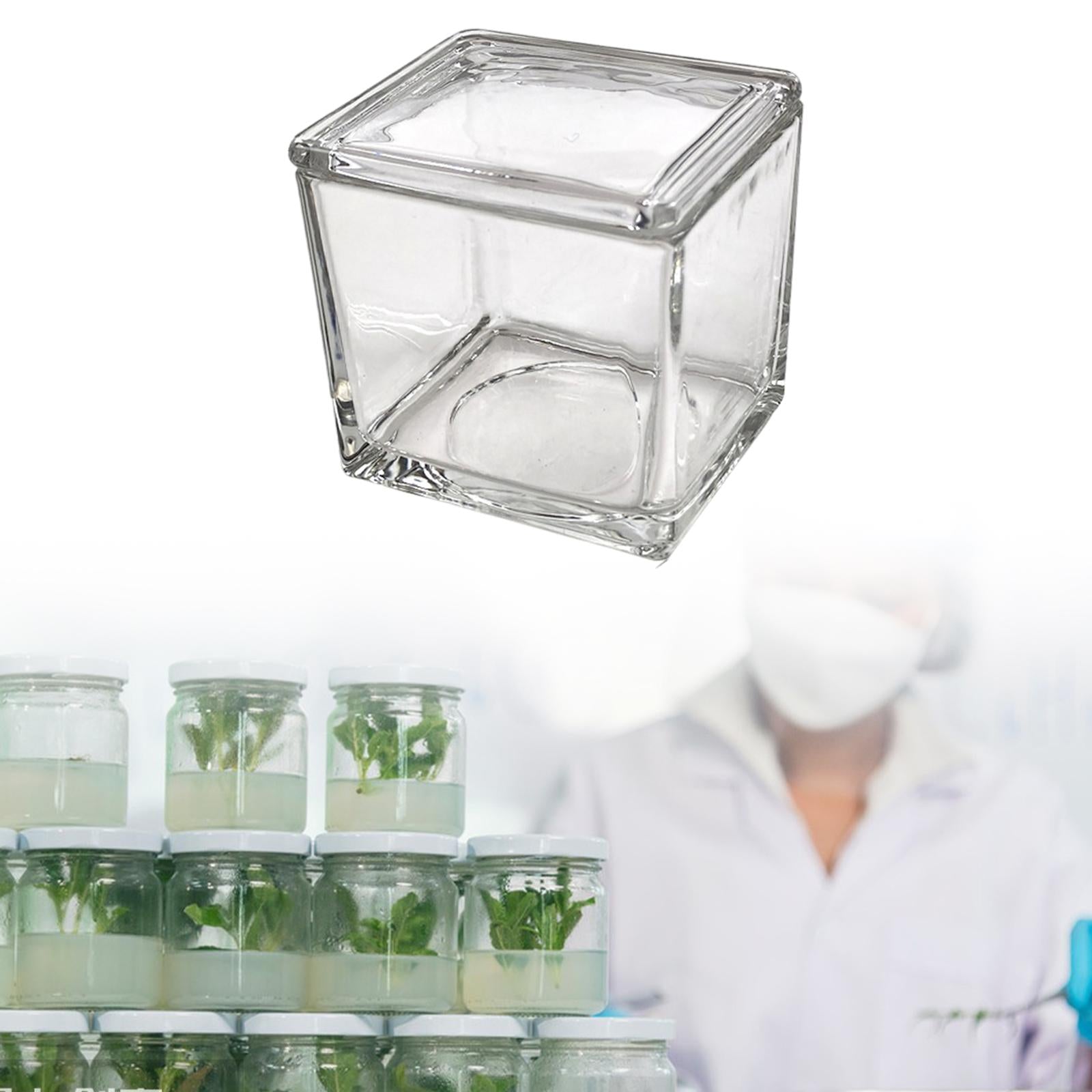 Rectangle Laboratory Glass Staining Jar Professional Accessory Slides Holder 550ml