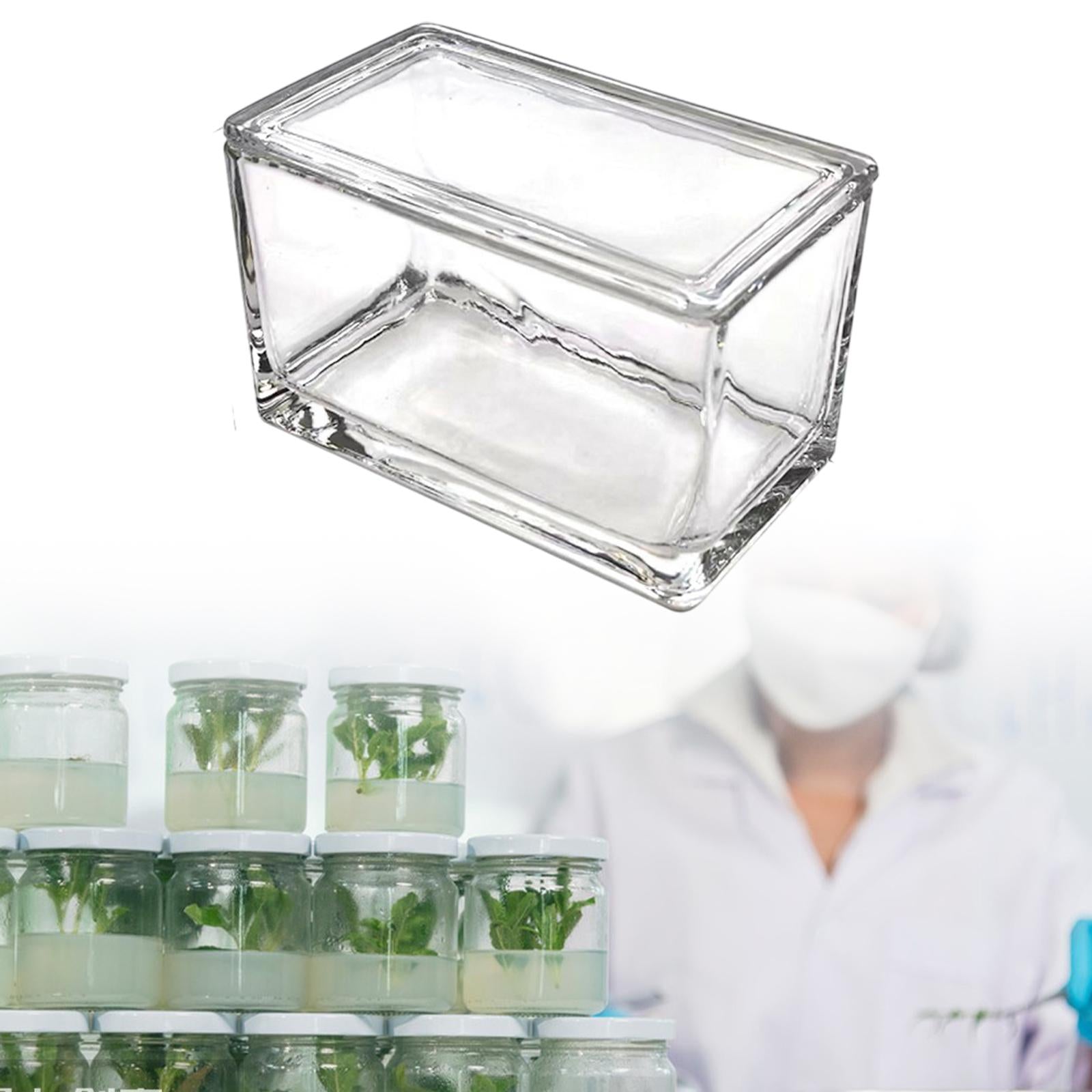 Rectangle Laboratory Glass Staining Jar Professional Accessory Slides Holder 950ml