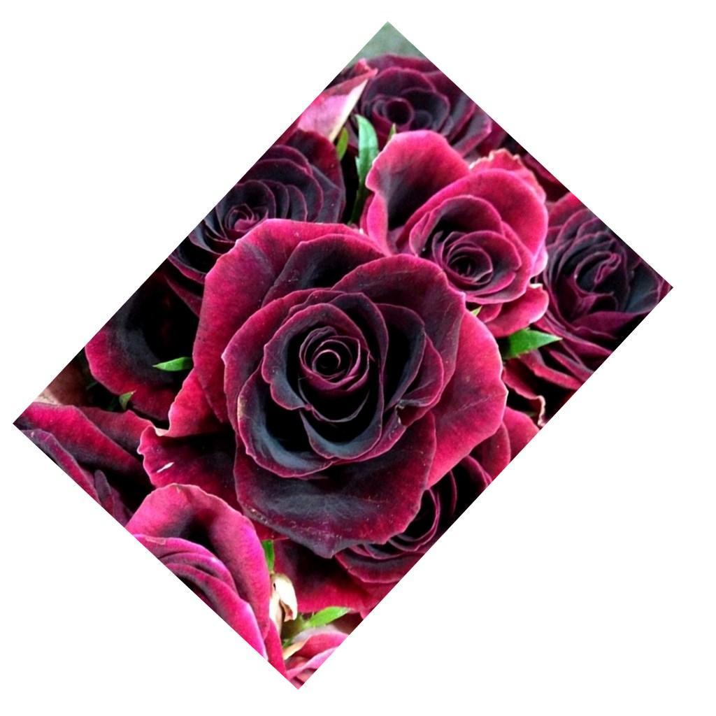 5D Diamond Painting Embroidery DIY Home Wall Decor Rose Flower (Full Drill)
