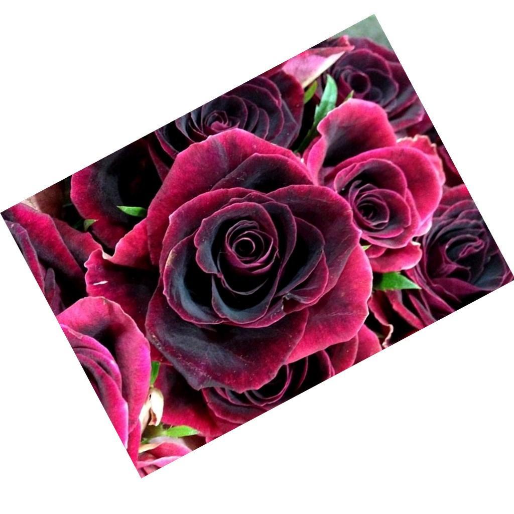 5D Diamond Painting Embroidery DIY Home Wall Decor Rose Flower (Full Drill)