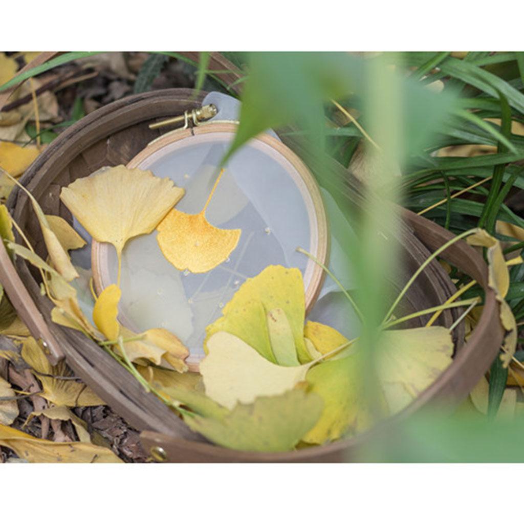 Handmade Embroidery Starter Kit with Pre-printed Pattern Ginkgo