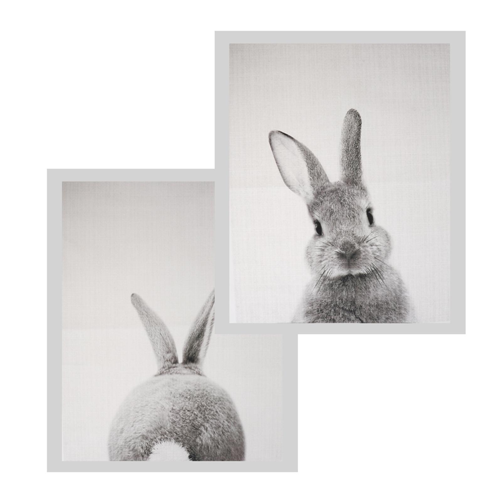 2Pcs Modern Art Oil Painting Canvas Picture Cute Rabbit Wall Decor 30x40cm