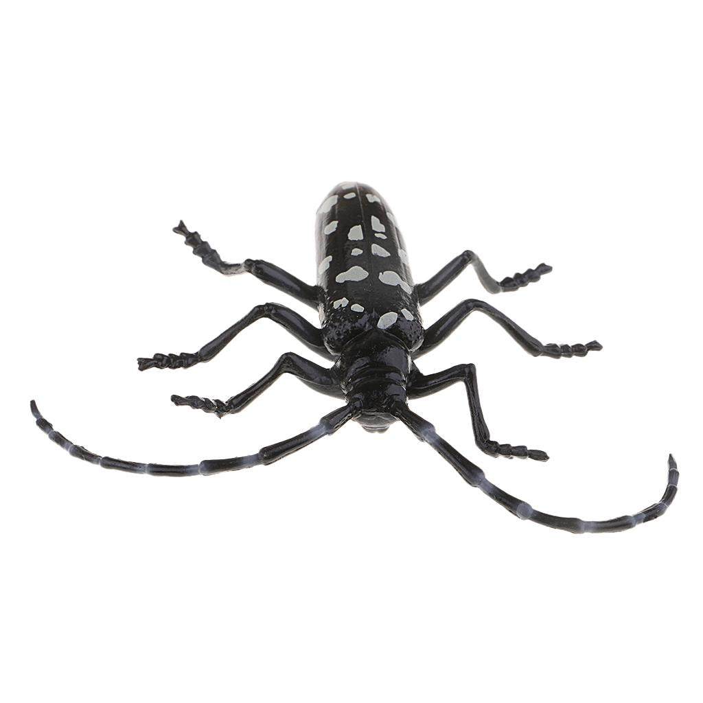 Animal Toys Educational Resource High Simulation Reallistic Insects Figure F