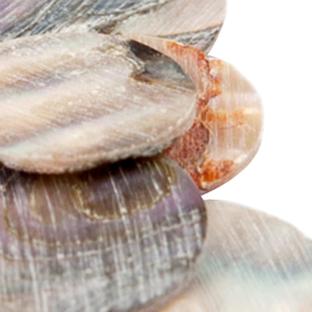 10 PCS Guitar Dots Inlay Dots Inlay for Guitar Ukulele Accessory 9mm