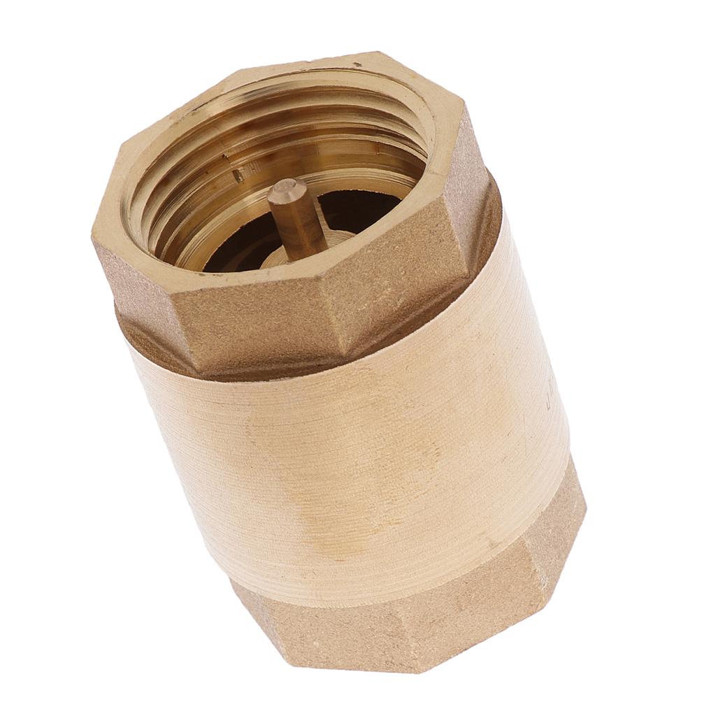 DN25 1'' NPT Brass Thread In Line Spring Vertical Check Valve Control Tool