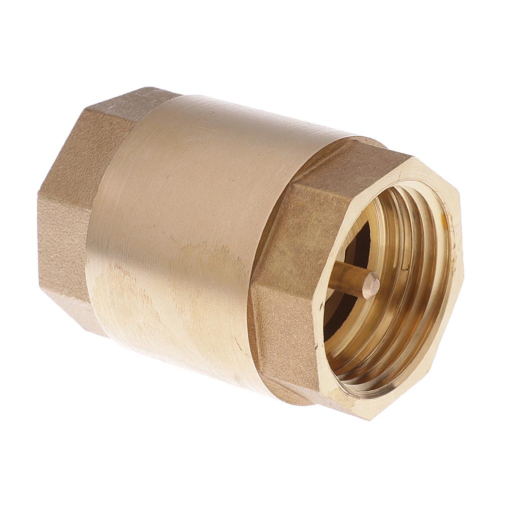 DN25 1'' NPT Brass Thread In Line Spring Vertical Check Valve Control Tool