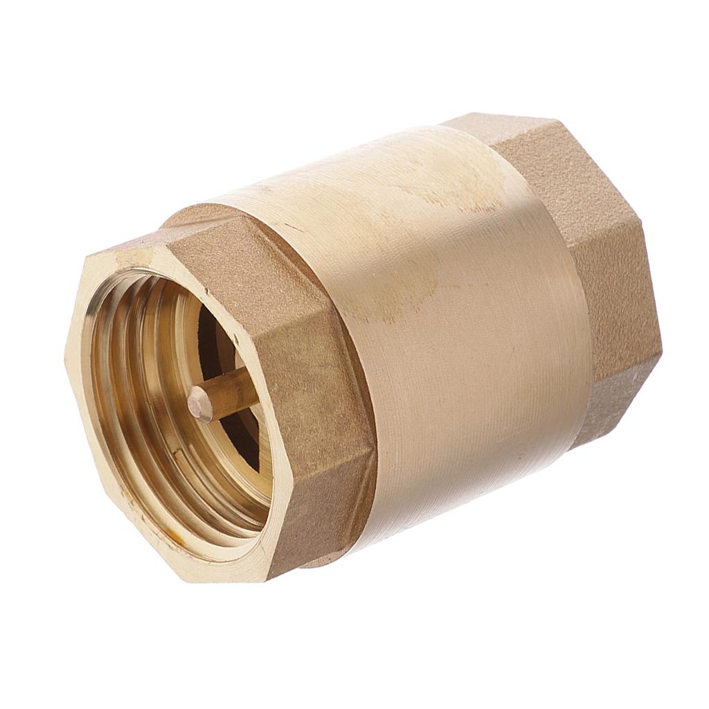 DN25 1'' NPT Brass Thread In Line Spring Vertical Check Valve Control Tool