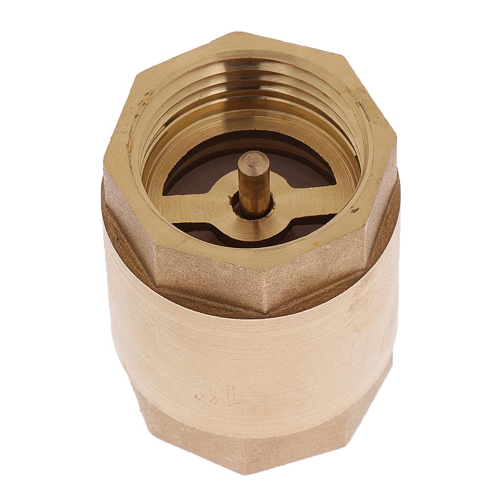 DN25 1'' NPT Brass Thread In Line Spring Vertical Check Valve Control Tool