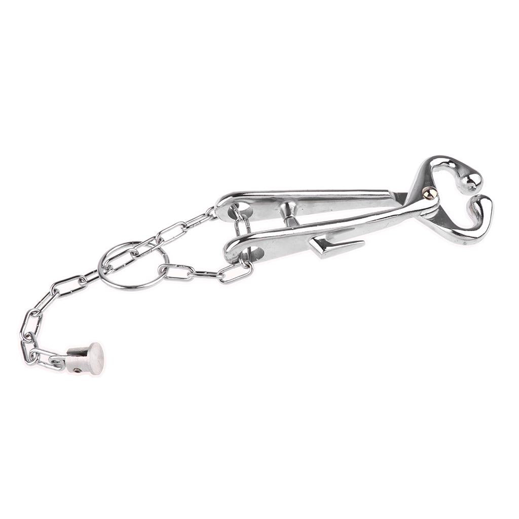 Stainless Bull Cow Nose Lead With Chain Show Cattle Eartag Vaccinator