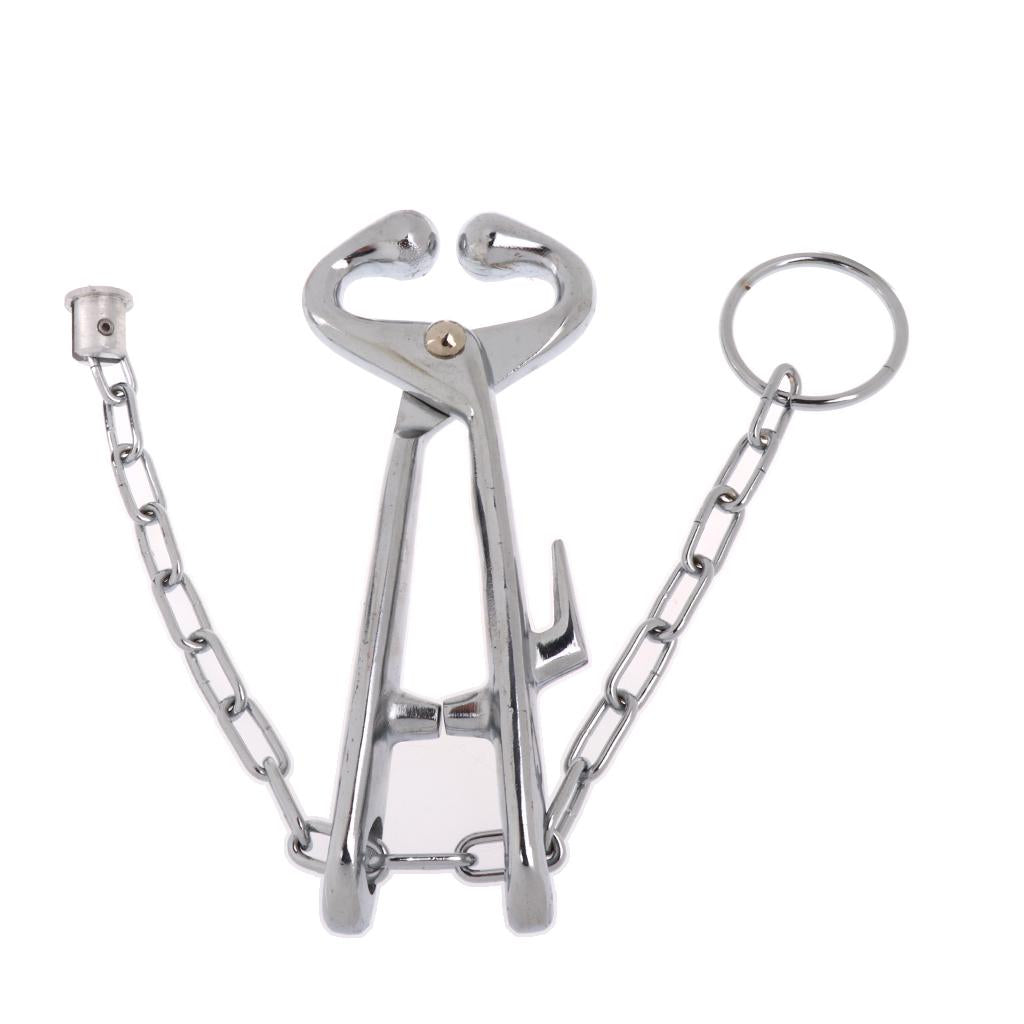 Stainless Bull Cow Nose Lead With Chain Show Cattle Eartag Vaccinator