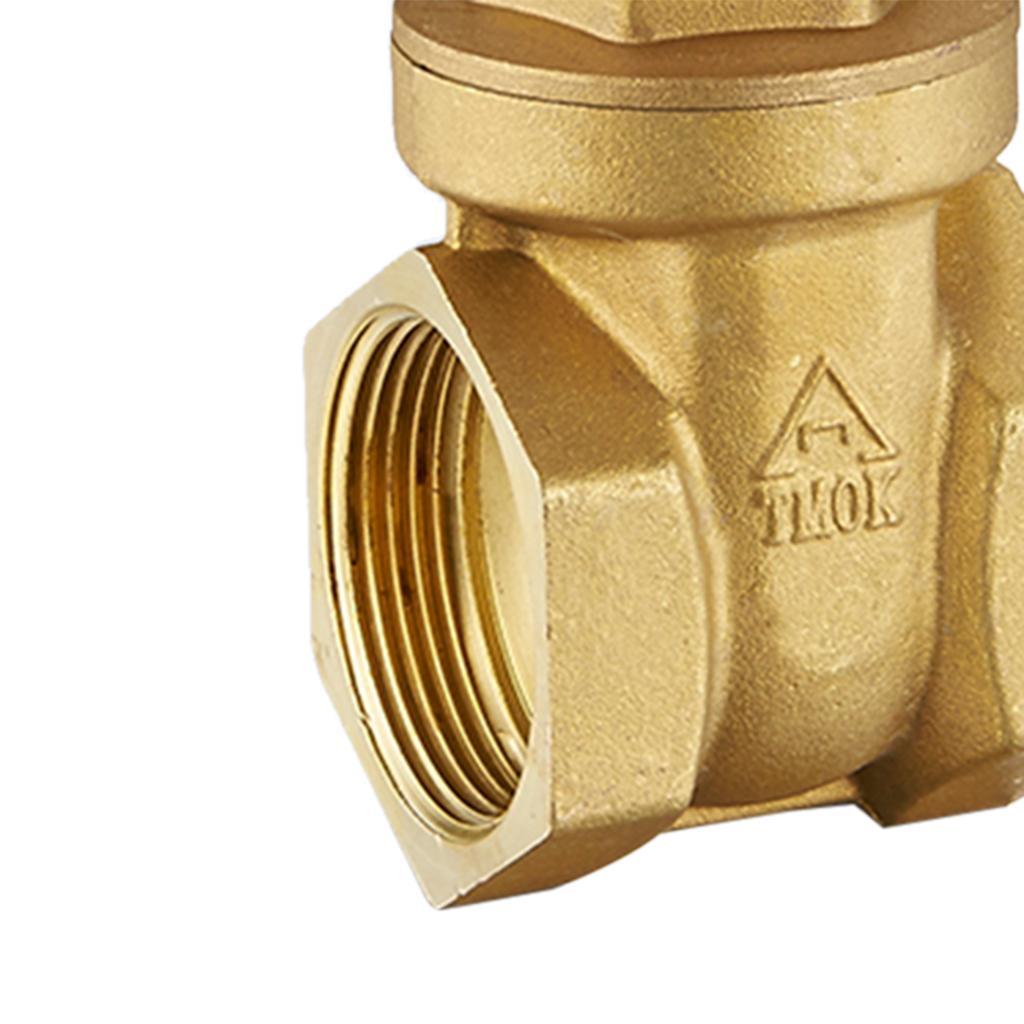 Solid DN15 Brass Gate Valve Water Air Pipe Hose Valve Pipe Fitting Mpa: 1.6Mpa