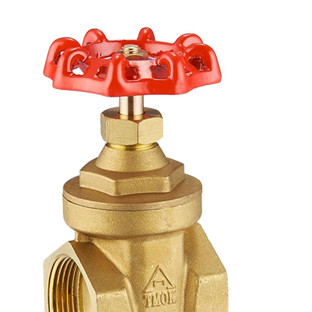 Solid DN15 Brass Gate Valve Water Air Pipe Hose Valve Pipe Fitting Mpa: 1.6Mpa