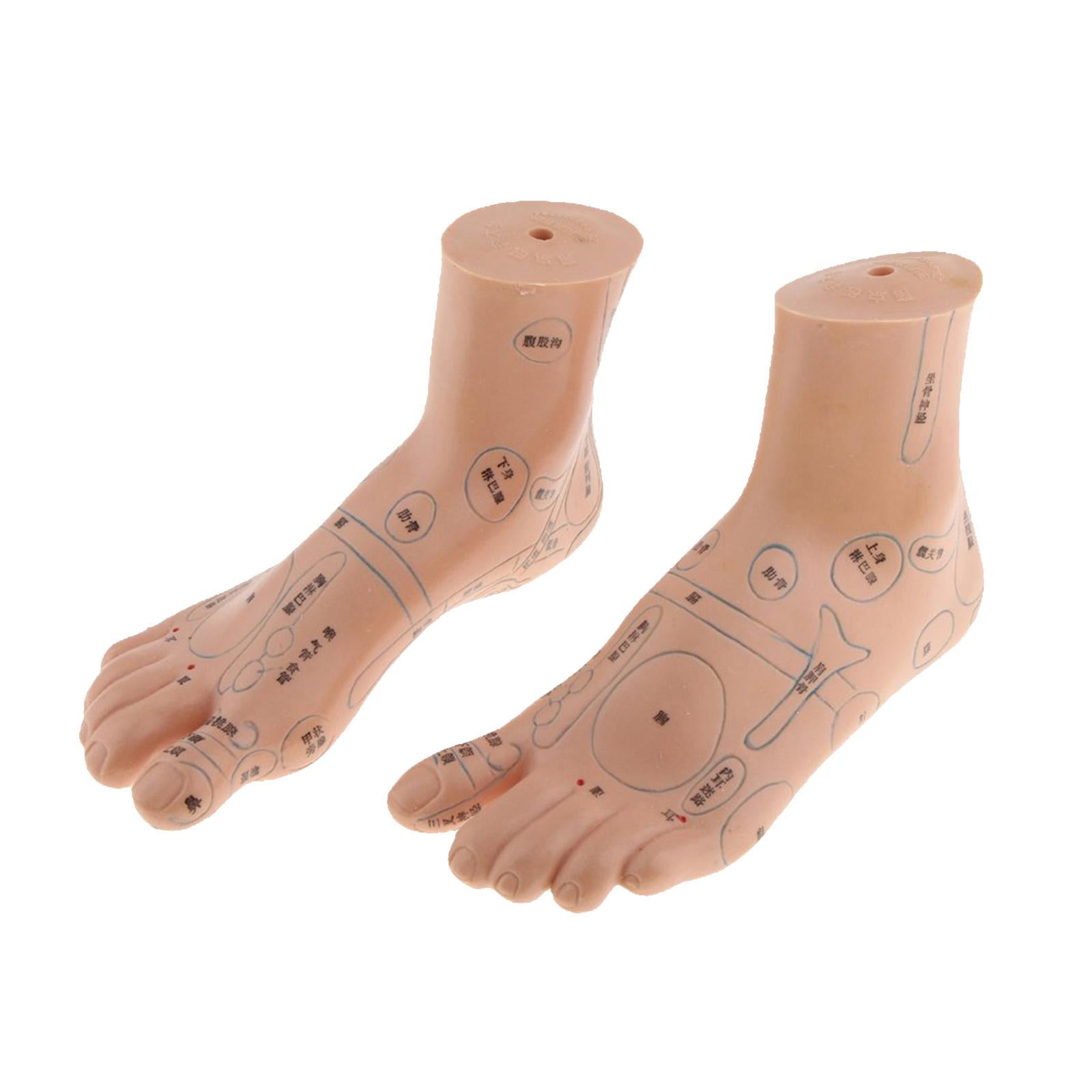 Pair Of PVC Foot Massager Reflexology Point Model Foot Model Teaching Supply