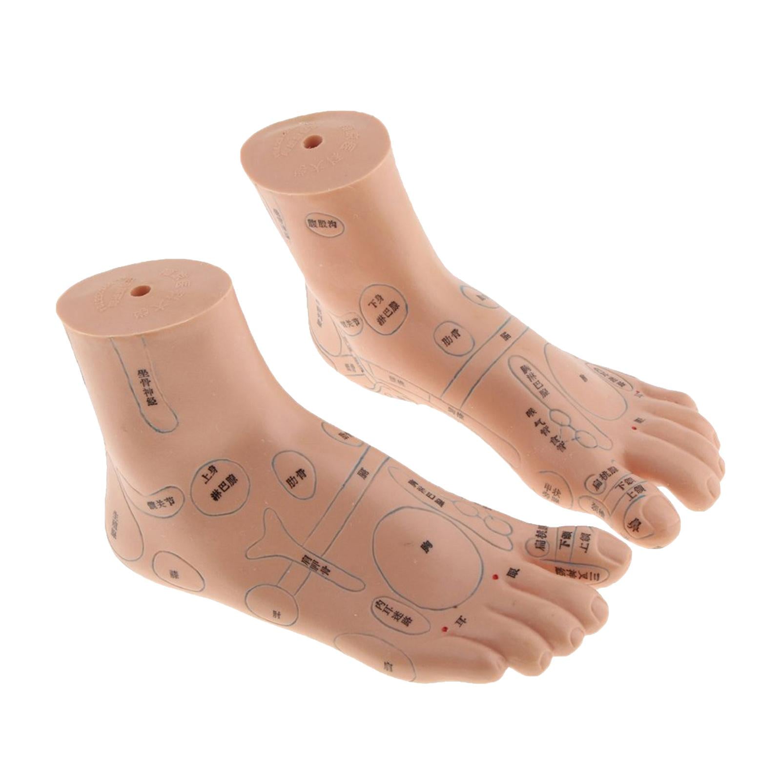 Pair Of PVC Foot Massager Reflexology Point Model Foot Model Teaching Supply