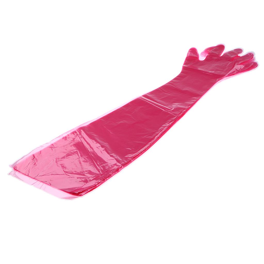 Disposable Gloves PE Garden Household Restaurant BBQ Multifuctional Gloves