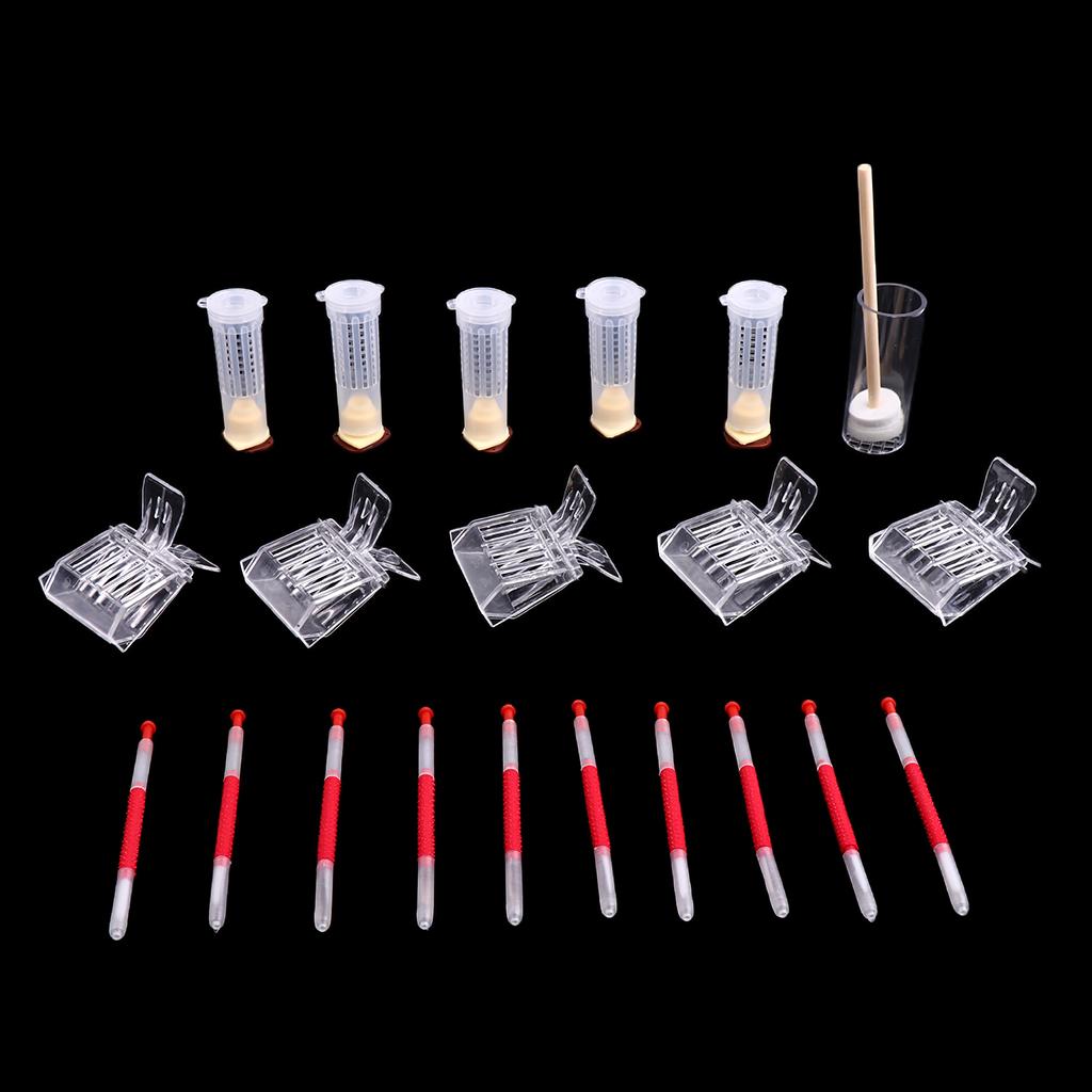 Beekeeping Tools Kit Bee Catcher Rearing Cage Grafting Tool Marking Cage