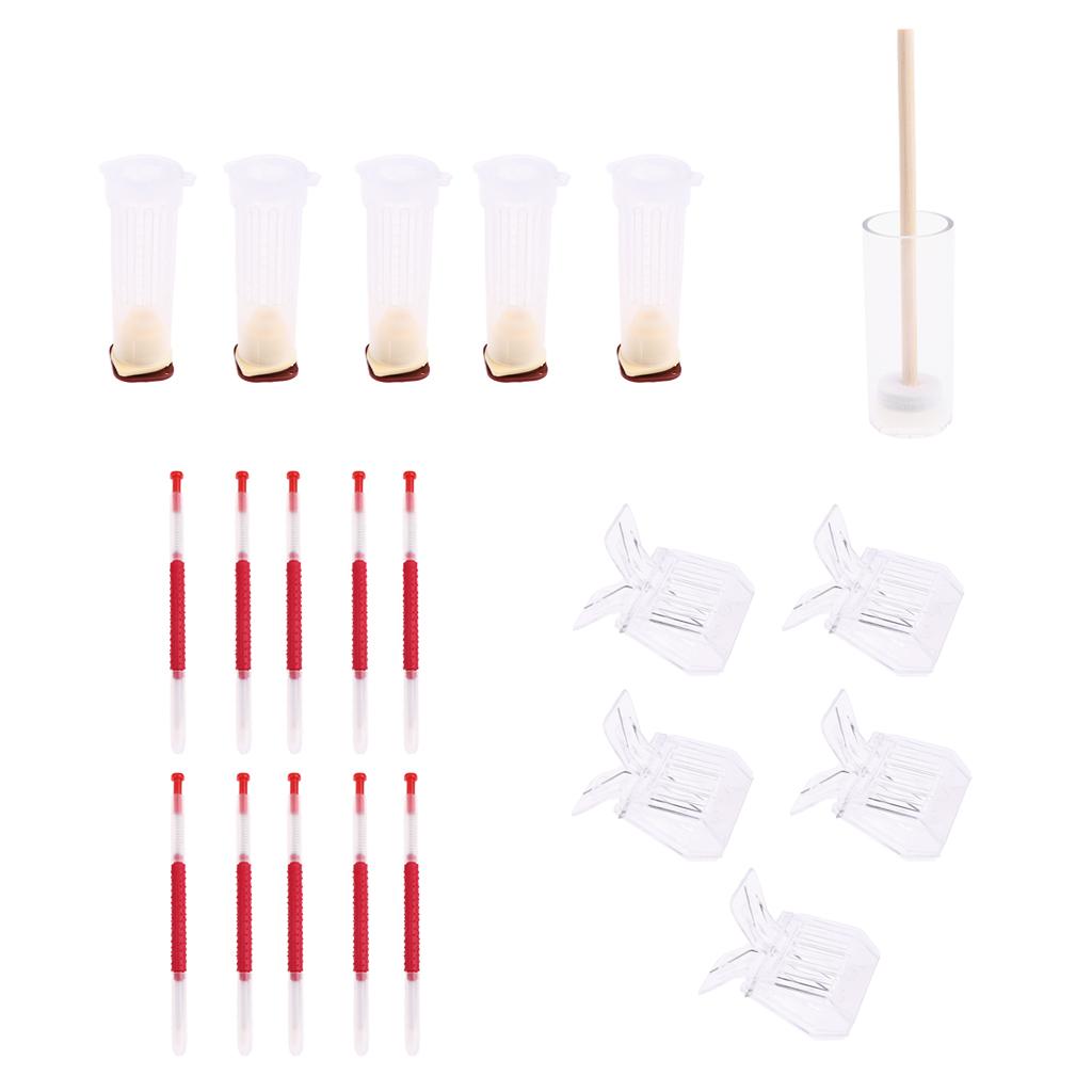 Beekeeping Tools Kit Bee Catcher Rearing Cage Grafting Tool Marking Cage