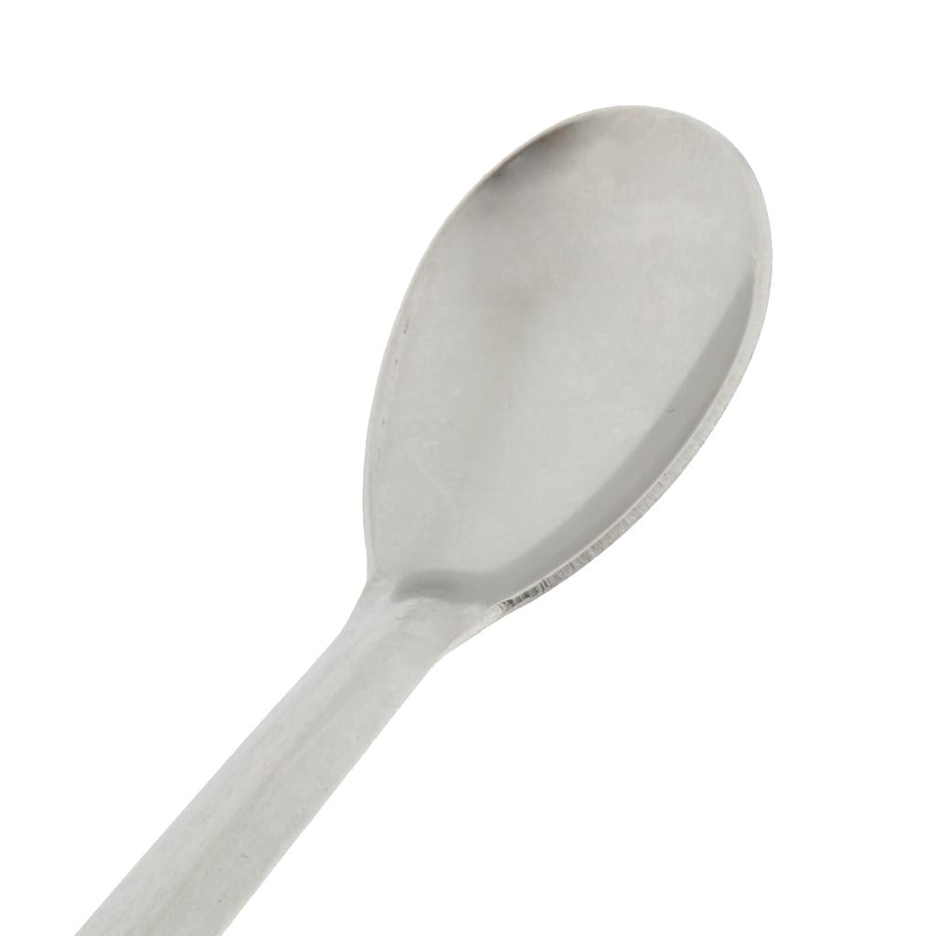 Double-end Stainless Steel Dispensing Spoon/Spade Lab Medical Scrapers 20cm